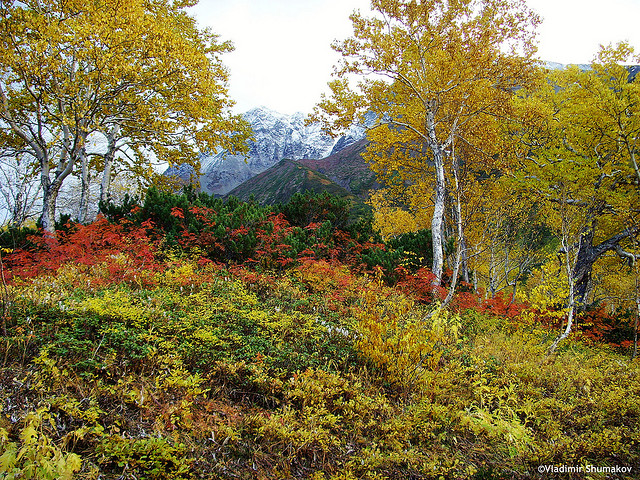 Chiêm ngưỡng Kamchatka, Nga: đẹp và đầy thách thức 